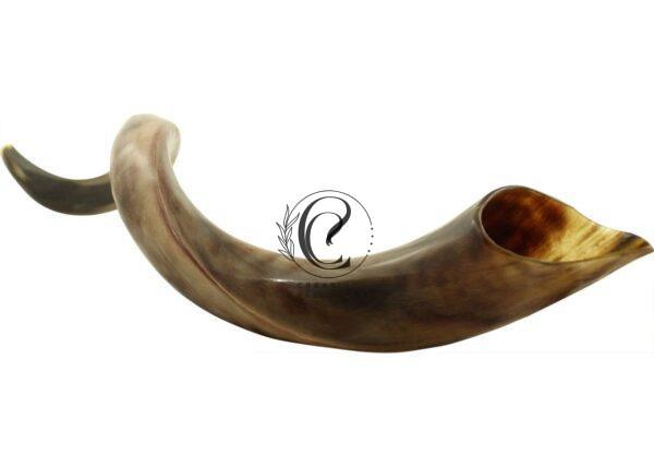 Kudu Horn Shofar