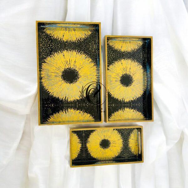 Resin Tray